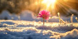 The first spring flower appears from the snow cover in sunny park. Season changes, the beginning of life concept. Copy paste place for text. Earth day, organic gardening, ecology, sustainable life