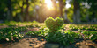 Season changes, beginning of life, ecology and ecological balance, organic gardening, ecology, sustainable life concept. Heart-shaped seedlings sprout grow from fertile soil the morning sun shines. 