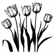 drawing five tulips with green stems. The flowers are all the same size and are arranged in a row. The drawing is in black and white