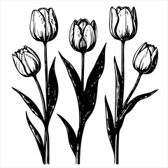 Wall Mural - Three tulips are drawn in black and white. flowers are tall and slender, with long stems and green leaves. Scene is serene and peaceful, as flowers are depicted in a calm and still pose