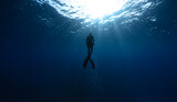 Fototapeta Lawenda - Freediver Swimming in Deep Sea With Sunrays.