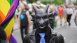 Pup play bdsm mask. Black latex dragon suit. Bi man wear cosplay costume. Dressed up guy enjoy gay pride party fest. Same sex lgbt parade. Fun csd day. Male blue tie. Rainbow love flag. Fetish game.