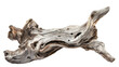 Weathered Driftwood Against White Background