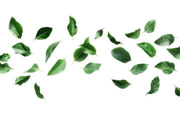 Wall Mural - Group of Green Leaves Flying Through the Air