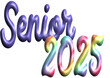 Senior 2025 - rainbow and purple glitter writing - effect tubular writing - Vector graphics - Word for greetings, banners, card, prints, cricut, silhouette, t-schietta, logo, sublimation	