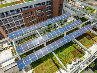 Wall Mural - solar panels on the school roof.