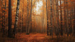 Rustic Autumn Birch Grove