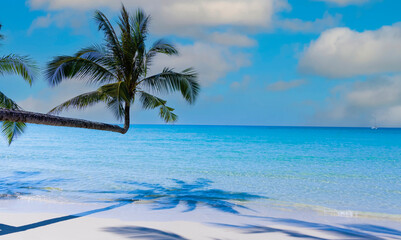 Wall Mural - Banner travel with summertime with palm tree and Tropical beach with blue of seashore background