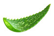 Aloe Vera Leaf Slice Isolated on Transparent Background
