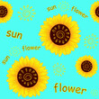 Seamless vector pattern with stylized sunflowers with a simple stylized pattern of the sun in the middle, unusual inscriptions: the word 