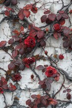 A Wall Covered In Red Vines And Roses. The Image Has A Romantic And Natural Feel To It
