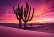 saguard cactus plants in the desert with a purple sunset
