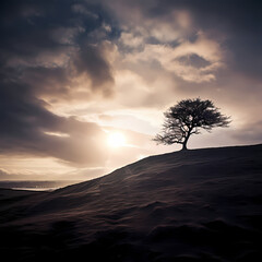 Sticker - Dramatic silhouette of a lone tree on a hill.