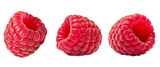 Collection or set of various fresh ripe raspberries isolated on white background