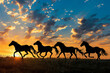 Horses silhouettes galloping across field at sunset. Herd of wild horses