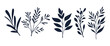 Set of decorative leaf silhouette. Different vector branches. Simple stencils illustration
