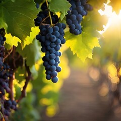 Sticker - AI generated illustration of a close-up of grapes on vine at sunset