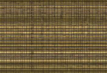 Wall Mural - a bamboo background in the daytime light with some dark colors