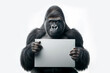 © James Middleton - Silverback Gorilla Holding Blank Sign on White Background for Copy Space Advertisement