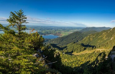 Aerial view of mountain landscape surrounded by dense trees