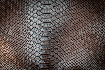 Wall Mural - Brown snake skin texture pattern can see the surface details.