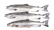 Top view of whole salmon isolated on a white background, presenting the entire fish with its gleaming, pinkish flesh and silver scales. This image captures the freshness and high quality of the salmon