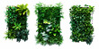 © Abul - Set of square plants wall, vertical garden with greenery isolated on white background, generative ai