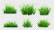 Set of green grass sprouts isolated on transparent background. Modern illustration of lawn plant, landscape design element, garden decoration, football pitch surface and fresh meadow herb.