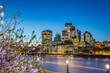 Illuminated neighbourhood City of London across the  Thames in spring, blooming cherry trees at the embankment in London, the United Kingdom 