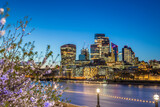 Fototapeta Uliczki - Illuminated neighbourhood City of London across the  Thames in spring, blooming cherry trees at the embankment in London, the United Kingdom 