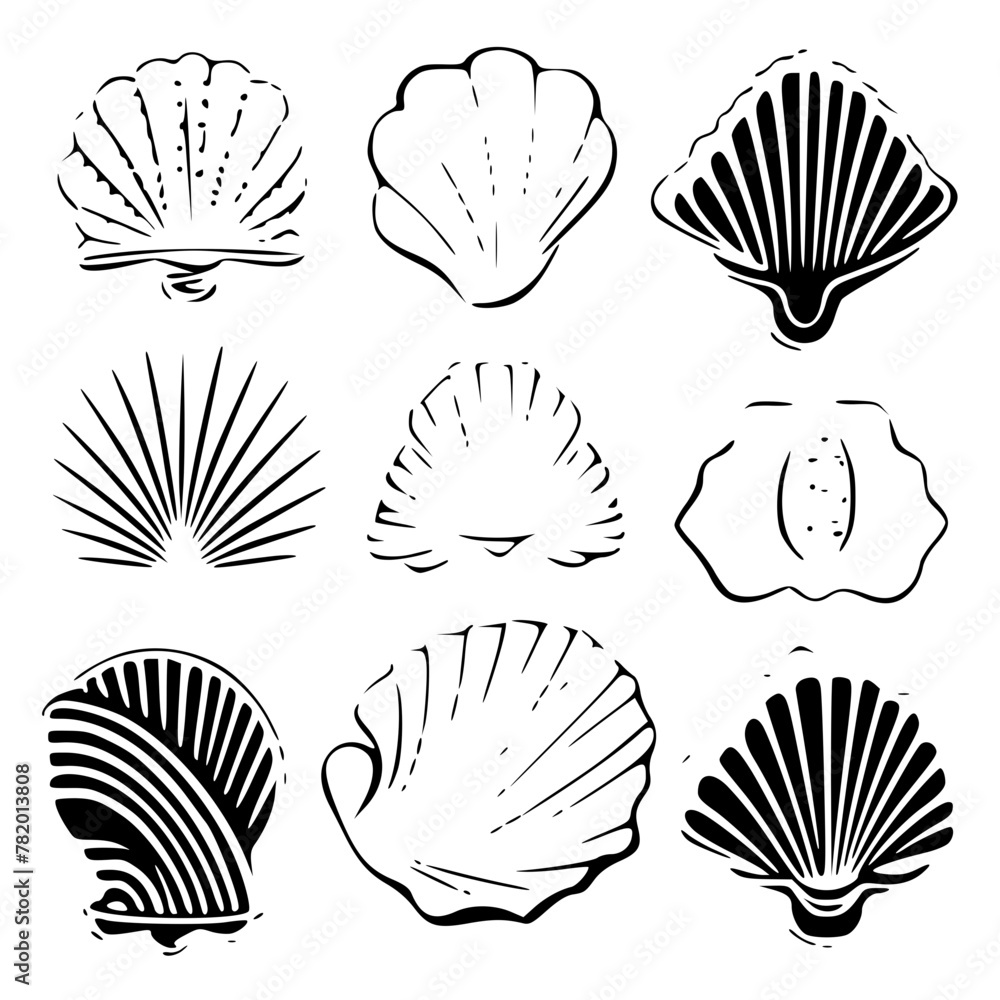Seashell Vector Svg Seashells svg, Seashell svg file, Ocean svg, Marine, Clipart, Seashell ...