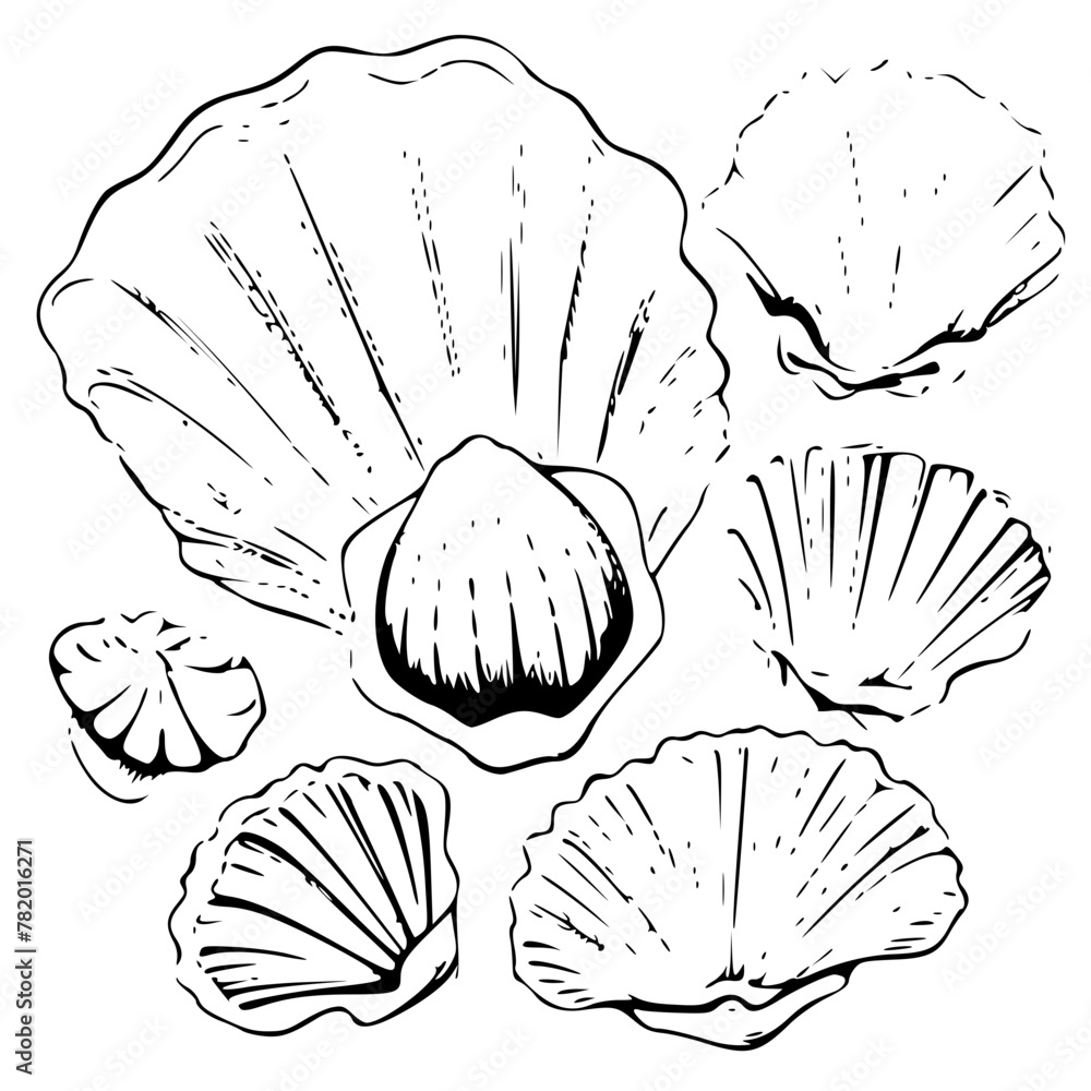 Seashell Vector Svg Seashells svg, Seashell svg file, Ocean svg, Marine, Clipart, Seashell ...