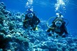 Two divers exploring the coral reef in the clear blue waters