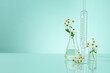 On a blue background, a group of lab glasses, transparent fluid filled in erlenmeyer flasks with few daisy flower branches are decorated. Minimal background and copy space for product presentation