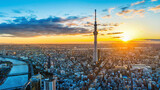 Fototapeta Krajobraz - Aerial view of Tokyo cityscape at sunrise, Japan.