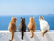 Cats sitting on the white wall, back view, blue sky background, sea in the distance, photo realistic in the style of, warm colors, cute. For Design, Background, Cover, Poster, Banner, PPT, KV design