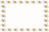 Fototapeta Na sufit - background, pattern, white, flowers, plants, spring, nature, flo