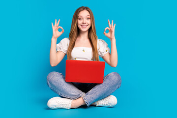 Sticker - Full length portrait of lovely girl show okey symbol laptop empty space wear top isolated on blue color background