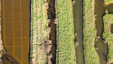 Fototapeta  - drone view of the salt marshes of Ile d Olonne, Vendee, France