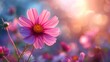 Vibrant Cosmos Blooms in Field, Nature's Artistic Masterpiece Generative AI