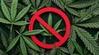 Cannabis plant leaves with red forbidden sign over plain background.
