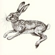 Graphical hare jumping on white  background,  illustration generated with AI