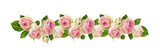 Fototapeta Panele - Small pink rose flowers in a line floral arrangement isolated on white or transparent background