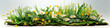 A bunch of flowers that are in the grass. White isolated cutout design element.