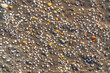 Small seashells on sand background