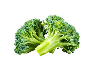 Wall Mural - broccoli isolated on white background