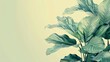 Minimalist botanical art: Muted tones backdrop featuring the Calathea Orbifolia tree.