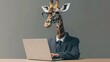 Giraffe in a suit working on a laptop - A giraffe with glasses and in a suit seems to be diligently