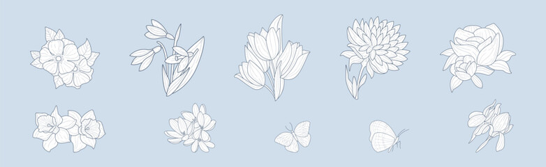 Poster - Lush Garden Flower Hand Drawn Element Vector Set