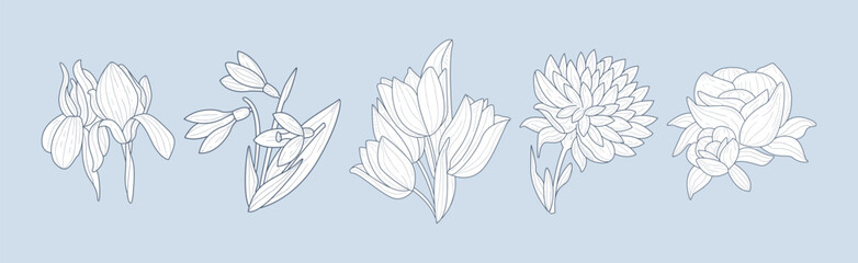 Poster - Lush Garden Flower Hand Drawn Element Vector Set